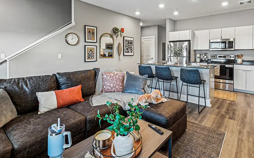 furnished living space